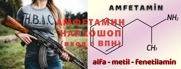 ГАЛЛЮЦИНОГЕННЫЕ ГРИБЫ Тайга
