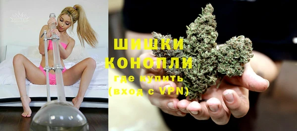 бошки Бородино