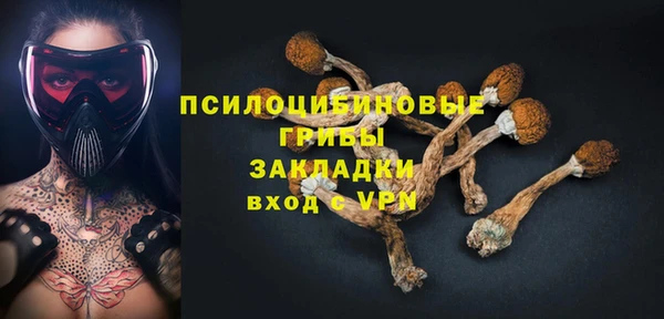 гидра Бугульма