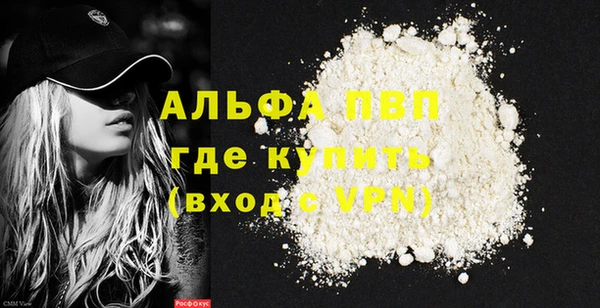 ГАЛЛЮЦИНОГЕННЫЕ ГРИБЫ Тайга
