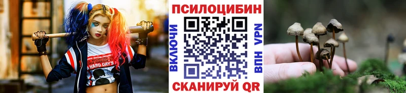 MEGA сайт  shop какой сайт  Псилоцибиновые грибы мухоморы  Моздок 